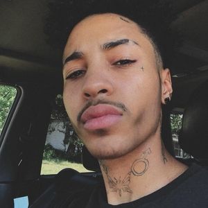 Meet your Posher, Avary